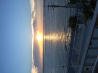 IMG_3797 (1)
