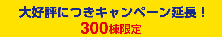期間限定 3/1~4/31
